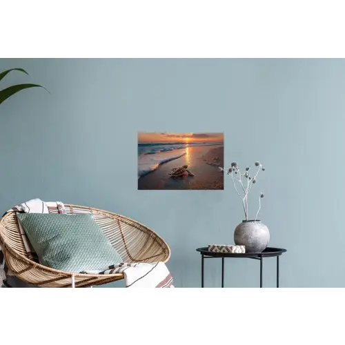 Schildpad - strand - Zonsondergang Muursticker klein -plant