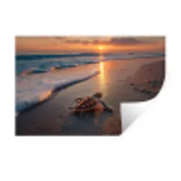 Schildpad - strand - Zonsondergang Muursticker klein -3d