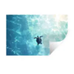 Schildpad - Zee - Blauw - Schittering Muursticker klein -3d