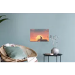 Busje - Kat - Zonsondergang - Oranje Muursticker klein -plant