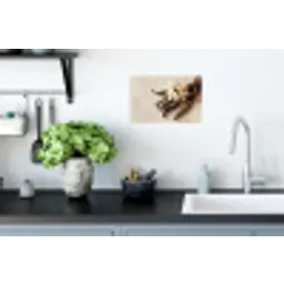 Vanille - Bloemen - Beige Muursticker klein -keuken