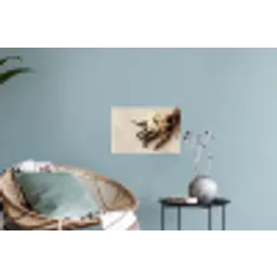 Vanille - Bloemen - Beige Muursticker klein -plant