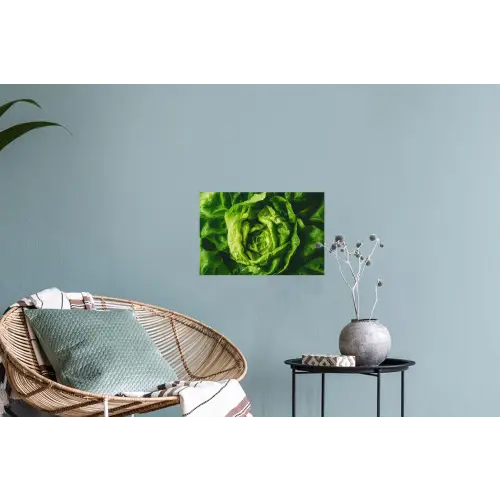 Groente - Sla - Groen Muursticker klein -plant