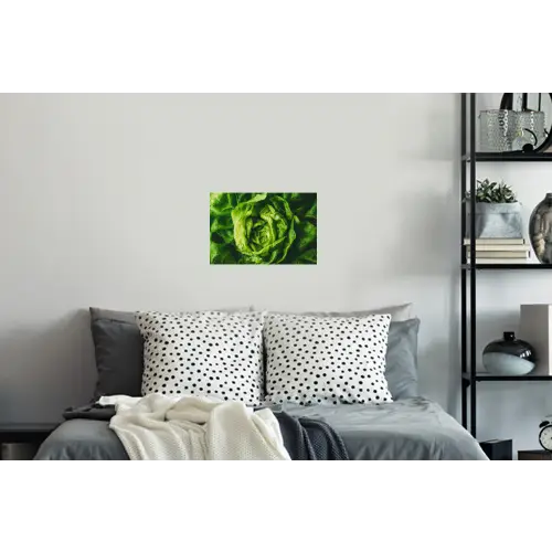Groente - Sla - Groen Muursticker klein -slaapkamer