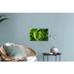Groente - Sla - Groen Muursticker klein -plant