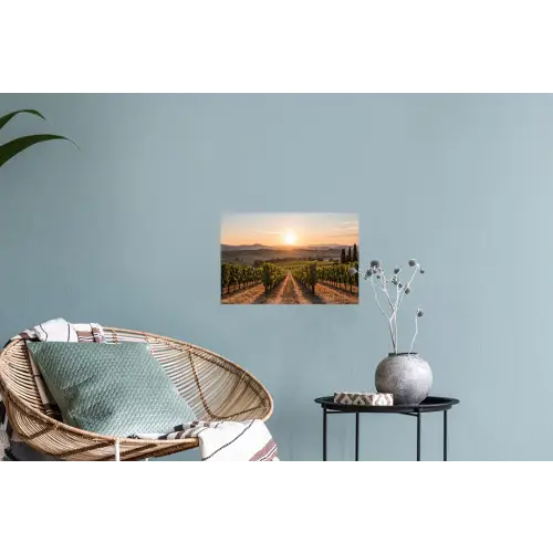 Wijngaard - Zonsondergang - Landschap Muursticker klein -plant