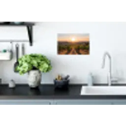 Wijngaard - Zonsondergang - Landschap Muursticker klein -keuken