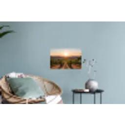 Wijngaard - Zonsondergang - Landschap Muursticker klein -plant