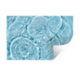Water - Blauw - bubbels Muursticker klein -3d