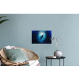 Walvis - Vissen - Donkerblauw Muursticker klein -plant