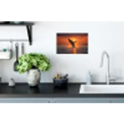 Walvis - Zon - Zee Muursticker klein -keuken