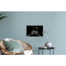 Whickyglazen - Ijs - Spetters - Zwart Muursticker klein -plant