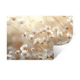 Wilde - Bloemen - Wit Muursticker klein -3d
