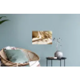 Wijn - Wijnglazen - Wit Muursticker klein -plant