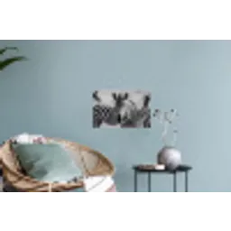 Zebra's - Zwart - Wit Muursticker klein -plant