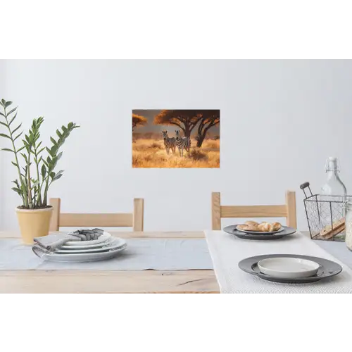 Zebra's - Savannelandschap - Gras Muursticker klein -eettafel
